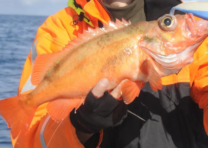 Adventure Camp Parque de Campismo